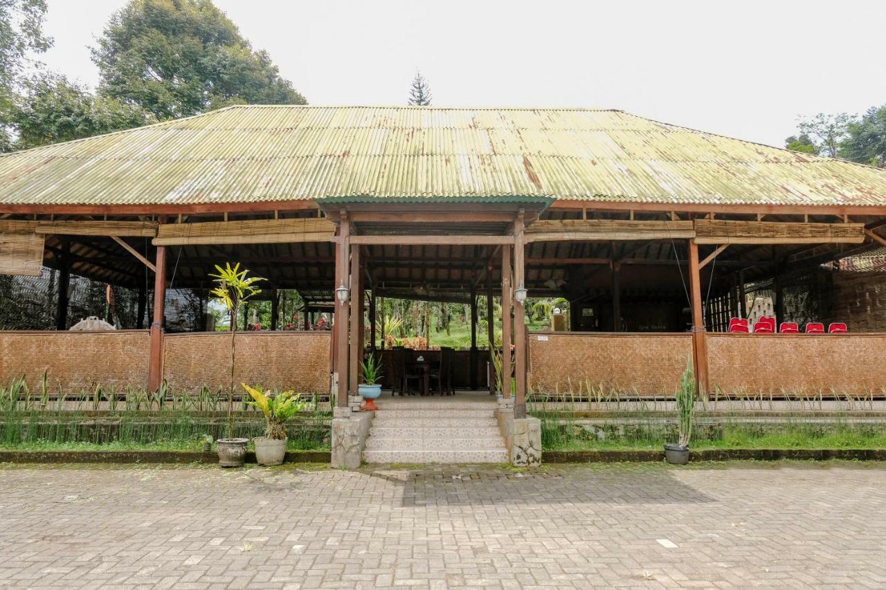 Oyo 1415 Ijen Residence Licin 外观 照片