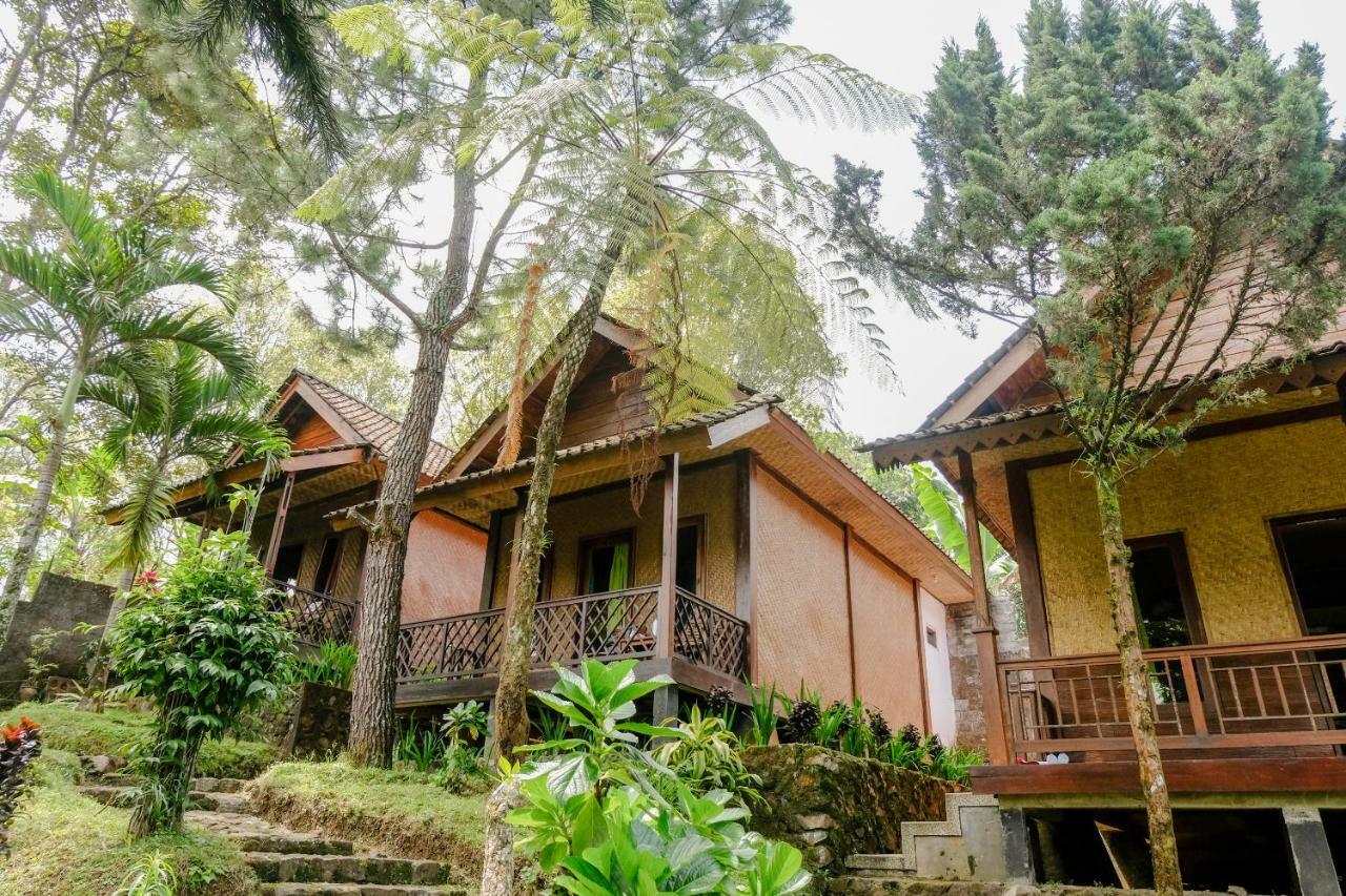 Oyo 1415 Ijen Residence Licin 外观 照片
