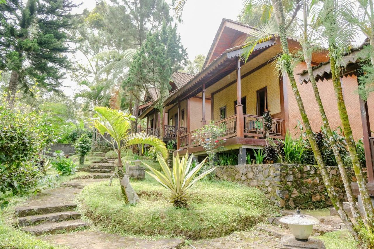 Oyo 1415 Ijen Residence Licin 外观 照片