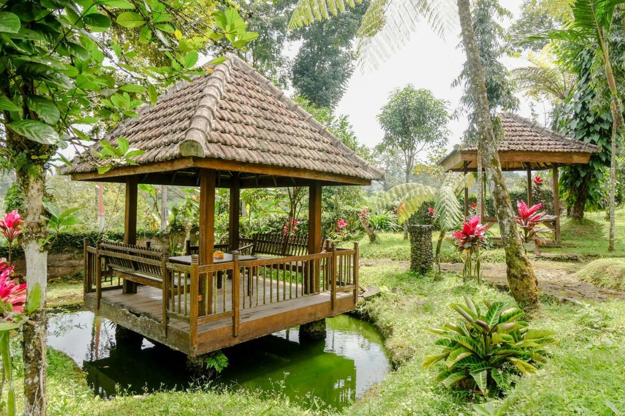 Oyo 1415 Ijen Residence Licin 外观 照片